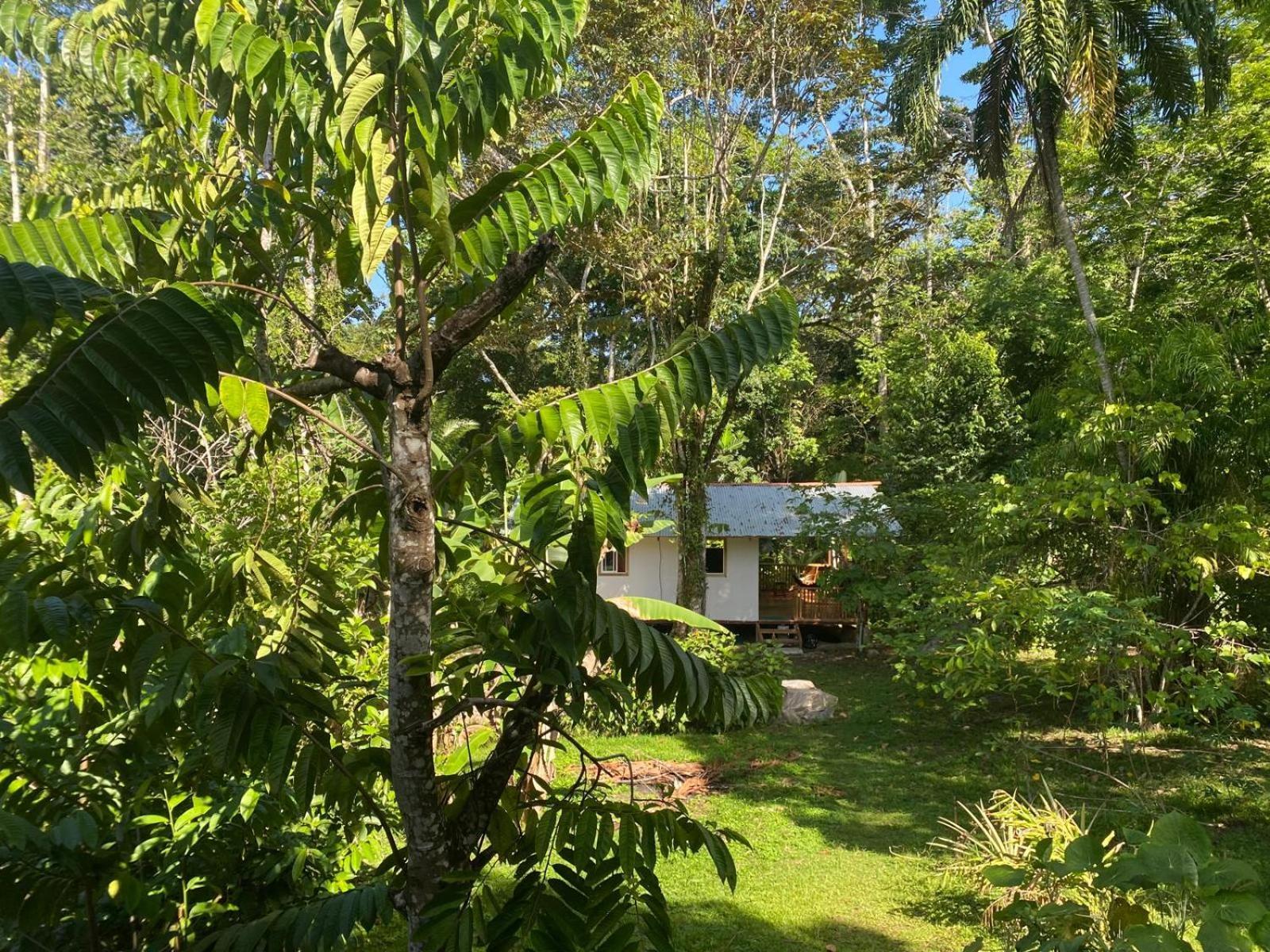 Caribbean Retreats Βίλα Cocles Εξωτερικό φωτογραφία
