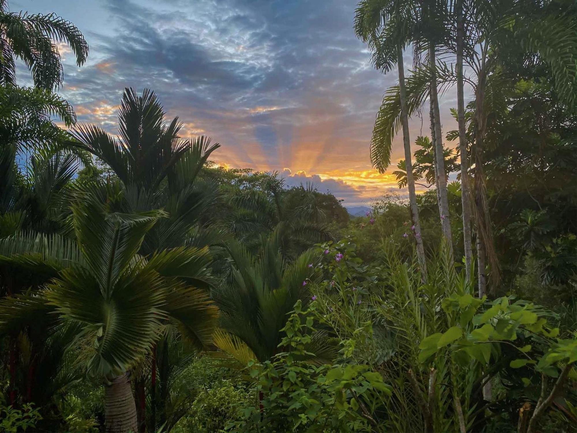 Caribbean Retreats Βίλα Cocles Εξωτερικό φωτογραφία